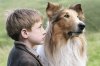 Lassie picture