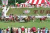 Racing Stripes picture
