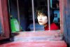 Shanghai Dreams picture