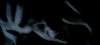 White Noise picture