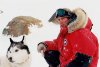 Eight Below picture