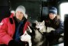 Eight Below picture