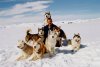 Eight Below picture