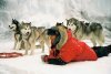 Eight Below picture