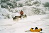 Eight Below picture