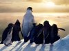 Happy Feet picture