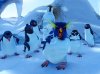 Happy Feet picture