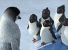 Happy Feet picture