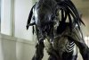 Aliens vs. Predator: Requiem picture