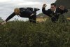 Hot Fuzz picture