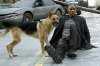 I Am Legend picture