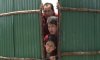มะหมา 4 ขาครับ picture