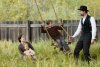 The Assassination of Jesse James by the Coward Robert Ford picture