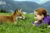 The Fox & The Child picture