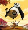 Kung Fu Panda picture