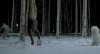 Let the Right One In picture