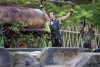 Tropic Thunder picture