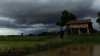 สวรรค์บ้านนา picture