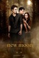 The Twilight Saga: New Moon