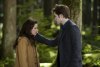 The Twilight Saga: New Moon picture