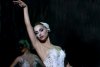 Black Swan picture
