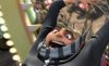 Despicable Me picture