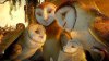 Legend of the Guardians: The Owls of Ga'Hoole picture