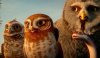 Legend of the Guardians: The Owls of Ga'Hoole picture