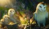 Legend of the Guardians: The Owls of Ga'Hoole picture