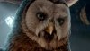 Legend of the Guardians: The Owls of Ga'Hoole picture