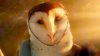 Legend of the Guardians: The Owls of Ga'Hoole picture