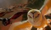 Legend of the Guardians: The Owls of Ga'Hoole picture