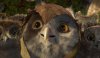 Legend of the Guardians: The Owls of Ga'Hoole picture