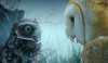 Legend of the Guardians: The Owls of Ga'Hoole picture