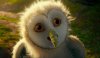 Legend of the Guardians: The Owls of Ga'Hoole picture