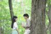 Norwegian Wood picture