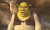 Shrek Forever After picture