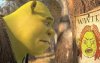 Shrek Forever After picture