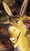 Shrek Forever After picture