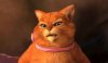 Shrek Forever After picture