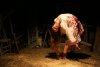 The Last Exorcism picture