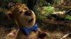 Yogi Bear picture