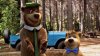 Yogi Bear picture