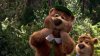 Yogi Bear picture