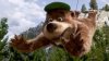 Yogi Bear picture