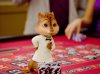 Alvin and the Chipmunks: Chipwrecked picture