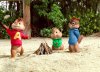 Alvin and the Chipmunks: Chipwrecked picture