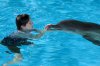 Dolphin Tale picture