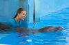 Dolphin Tale picture
