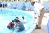 Dolphin Tale picture